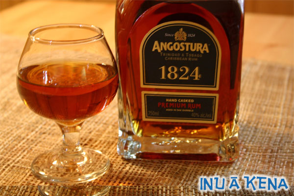 Angostura 1824