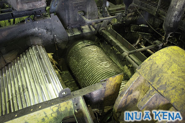 The cut cane is crushed using heavy milling wheels, which expresses the juice