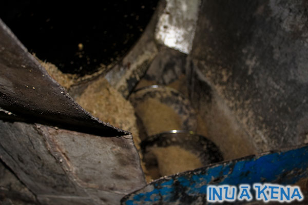 Cane is cut here prior to being pressed