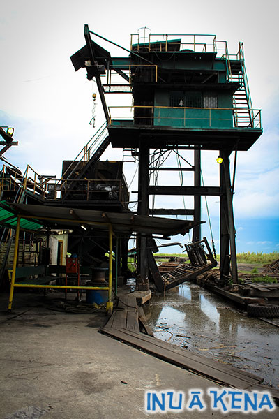 Punts are mechanically unloaded, and cane conveyed to the cutters