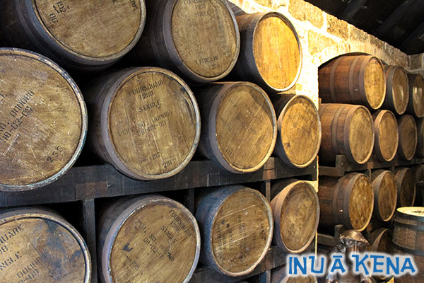 Rum aging in barrels at Saint Nicholas Abbey