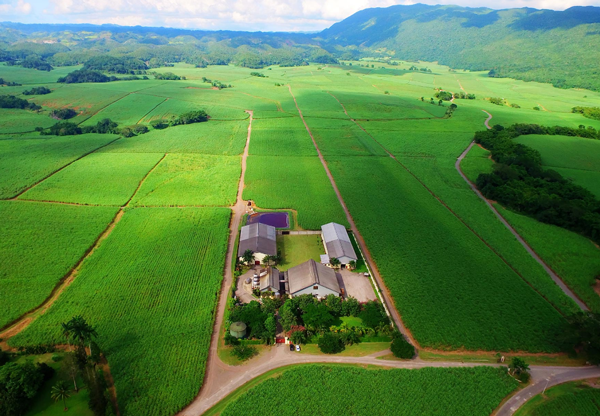 Worthy Park Estate Distillery