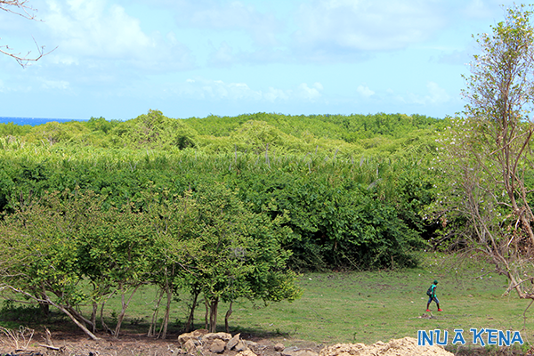 Looking east from the distillery site